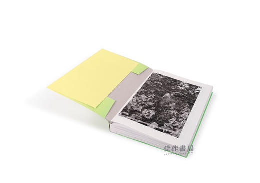 Sam Contis: Overpass / 山姆·康蒂斯：天桥 商品图2