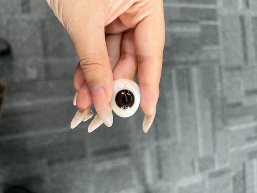 ice Candy冰糖果品牌--可爱女人(小棕环） 商品图12