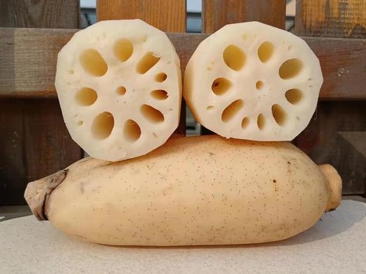 小清新鲜鲜九孔白莲藕、红花细藕（超粉老白莲藕）无农化自然生长，口感清甜，煮汤味美。自制纯藕粉 ，无添加，配料只有莲藕，天然藕清香！ 商品图0