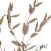 永生花材 | 细叶尤加利原色 商品缩略图0