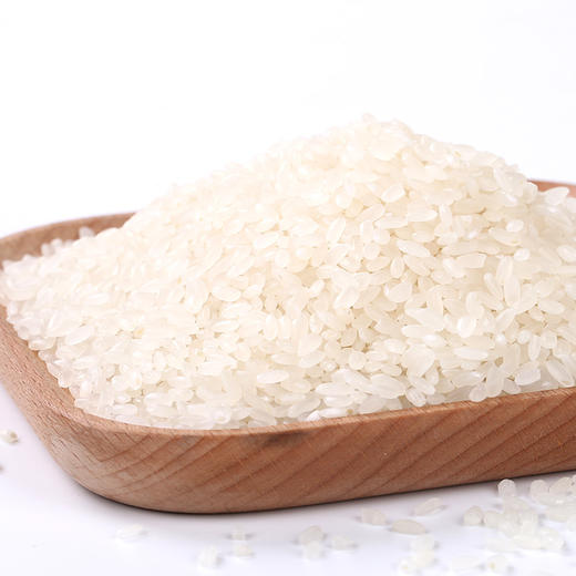 景明 黄河口香米 商品图1