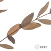 永生花材 | 细叶尤加利原色 商品缩略图2