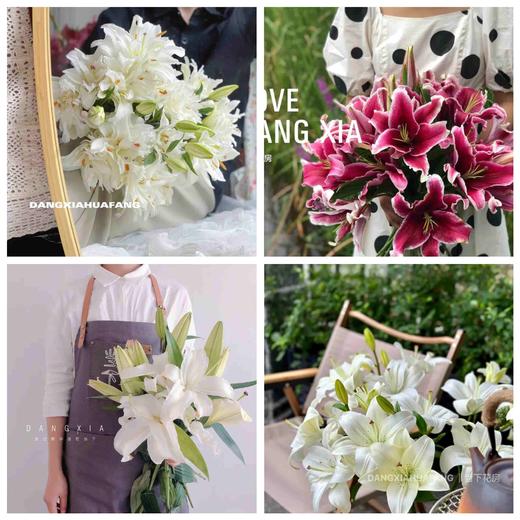 【都是百合】滑雪板重瓣百合4-5朵+黑美人香水百合3-4朵+眼线亚百合4-5朵+西伯利亚白百合4朵/份 商品图0