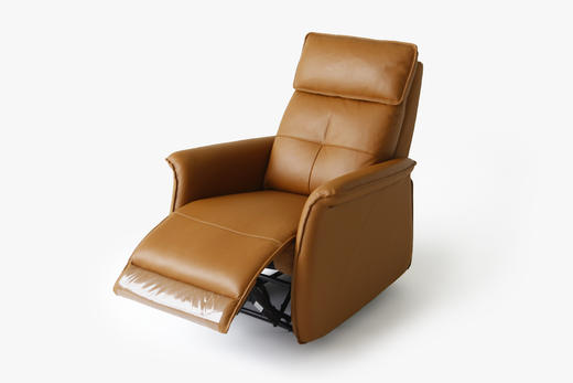 大信沙发 DX-SF2340休闲椅 商品图3