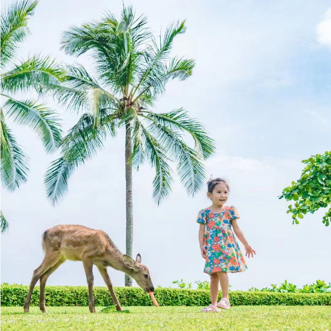 萌宠乐园1捆动物喂养食材（食材领取时间，8:30-11:15，13:30-17:15）