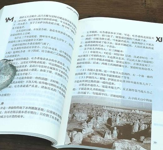 游牧新疆丛书三种：《亚洲心脏的鼓声：新疆古城探访》《正午田野》《悬崖乐园》,李冯、王族、刘亮程著，云南人民出版社2001年版，三册定价：50元，售价88元，非偏远地区包邮。品相9成。 商品图10