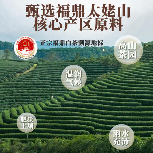 【买就送闷泡壶+陈皮白茶品尝装】艺福堂茶业白茶礼盒陈皮白茶福鼎原产送礼高端菊花玫瑰桂花白茶 商品图4