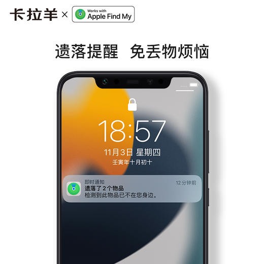 【79元国货套装】卡拉羊时尚轻便多场景旅行两件套捆箱带+防丢器 商品图6