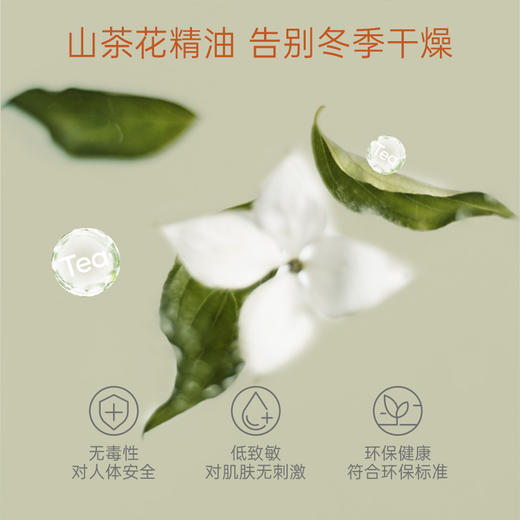 澳洲 OZCUCU 山茶花精油打底裤 袋鼠系列 瑜伽裤子 3色可选 商品图6