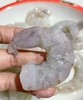 猫太推荐—— 99元2斤  无比鲜美的虾仁  活虾急冻手剥虾仁  脆弹鲜甜 吃的出的美味 虾仁2包净重960克 商品缩略图2