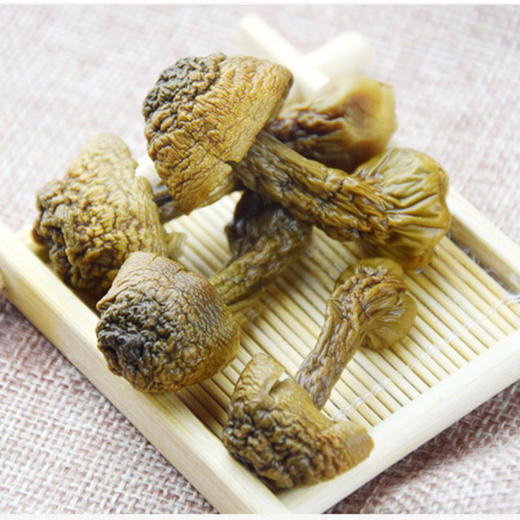 长岭尖姬松茸100g 商品图3