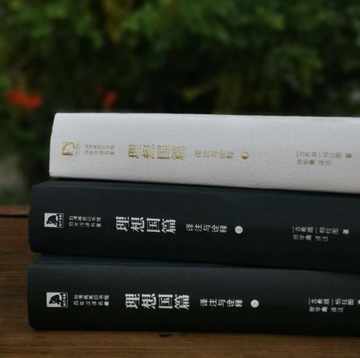 《理想国篇：译注与诠释》上下两册精装 商品图6