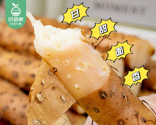 【预售-12月31日配送】温县垆土铁棍山药（42-48cm）/1箱（2.25kg±100g） 商品图3