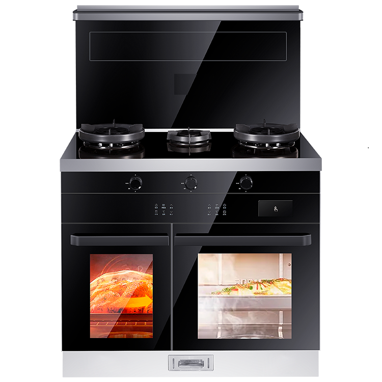 新品首发 集成灶DJ666