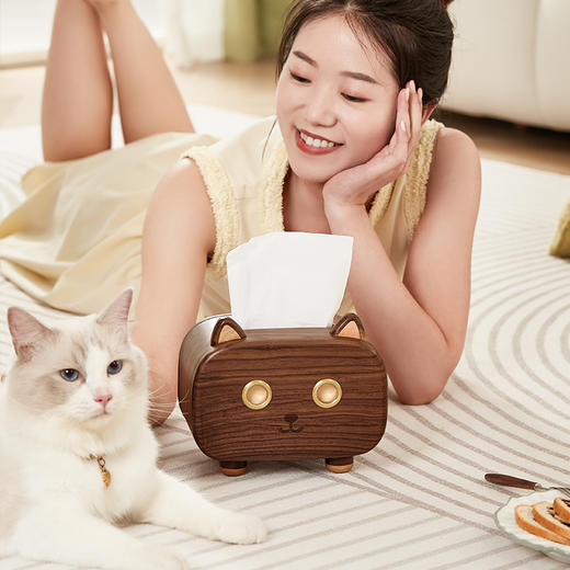 初心| 萌猫纸巾盒胡桃木全实木黄铜 商品图1