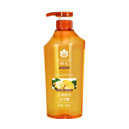 蜂花生姜健发洗发露600ML（230507） 商品图4