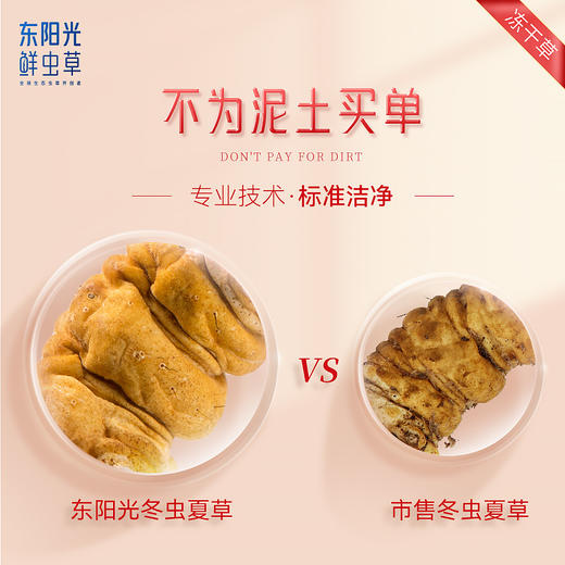 东阳光冬虫夏草 冻干虫草10克/50克/75克/100克/200克  虫草礼盒 虫草滋补补品 商品图6