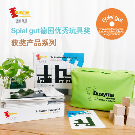 儿童玩具德国Dusyma 空间思维训练礼盒全阶 初中高阶 商品图4
