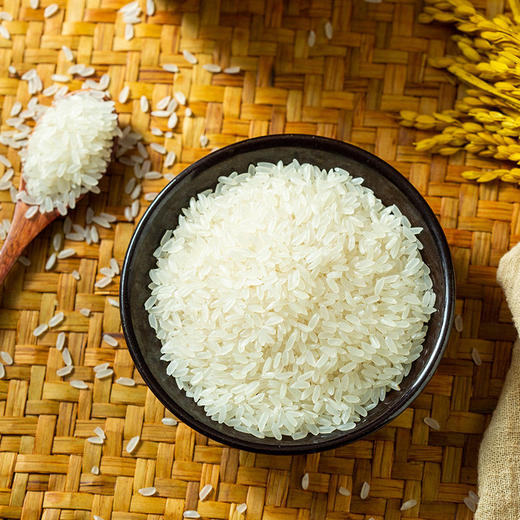 【码帮严选】 五常·长粒香米 五常水稻研究所基地供应 商品图1