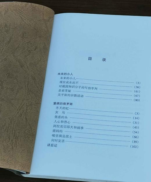 俄罗斯思想文库：《重病的俄罗斯》，俄 梅尼日科夫斯基著，云南人民出版社1999年一版一印，售价25元。品相9成左右。 商品图3