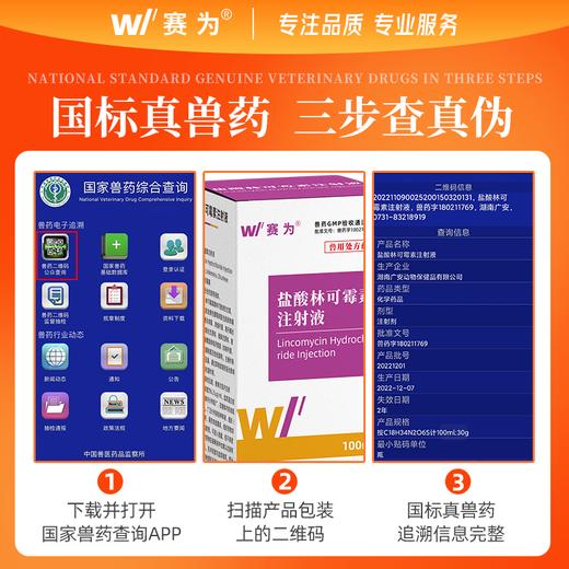 赛为30%盐酸林可霉素注射液剂兽用猪牛羊高热混感产后消炎症咳喘 商品图3