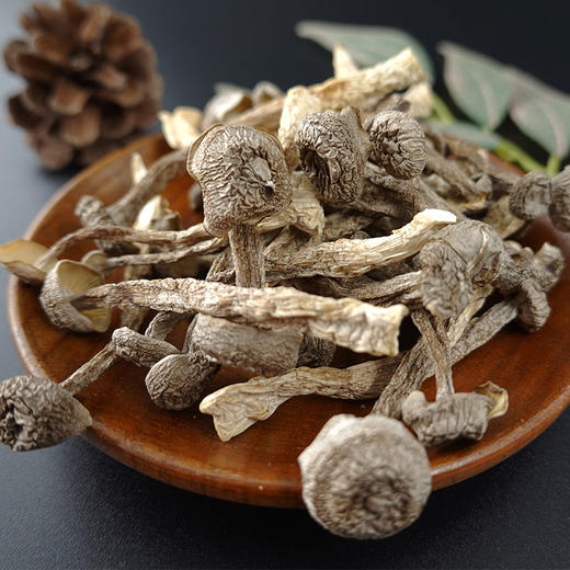 长岭尖精选鹿茸菇120g 商品图2