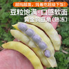 冷冻黄金钩豆角  烹香绵软炖着吃特别好吃 1斤 商品缩略图0