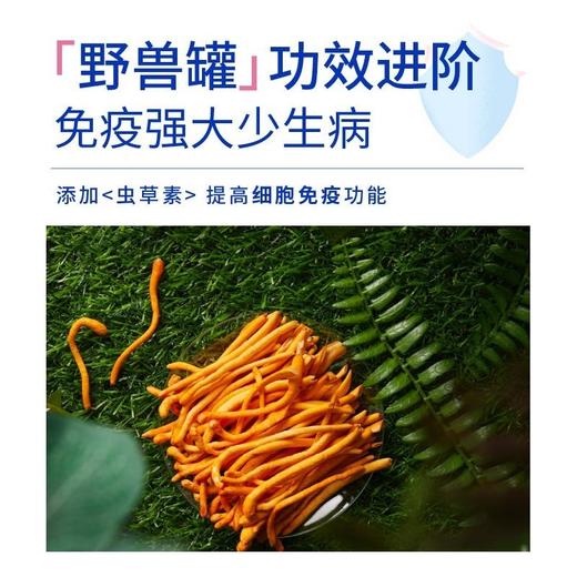 蓝氏主食猫罐头五星正餐猫湿粮乳鸽鸡肉营养增肥发腮170g/个 商品图2