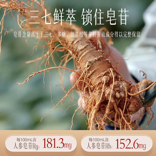 【官方正品】云南白药七花牌三七口服液30ml*30瓶礼盒装三七原浆鲜萃液增强免疫力缓解体力疲劳鲜三七植萃 商品图2