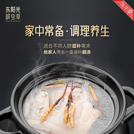 东阳光冬虫夏草 冻干虫草10克/50克/75克/100克/200克  虫草礼盒 虫草滋补补品 商品图8