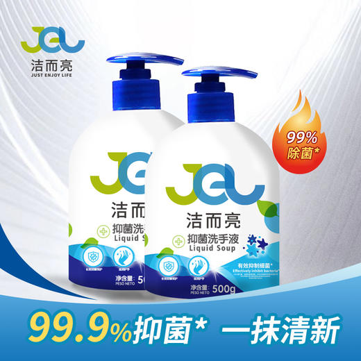 洁而亮抑菌洗手液500g 商品图0