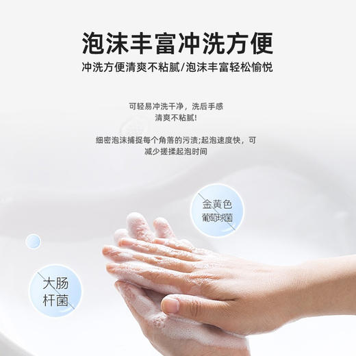 洁而亮抑菌洗手液500g 商品图3