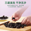【桑椹干】干吃泡水干净无沙清甜可口浓香桑椹干 商品缩略图2