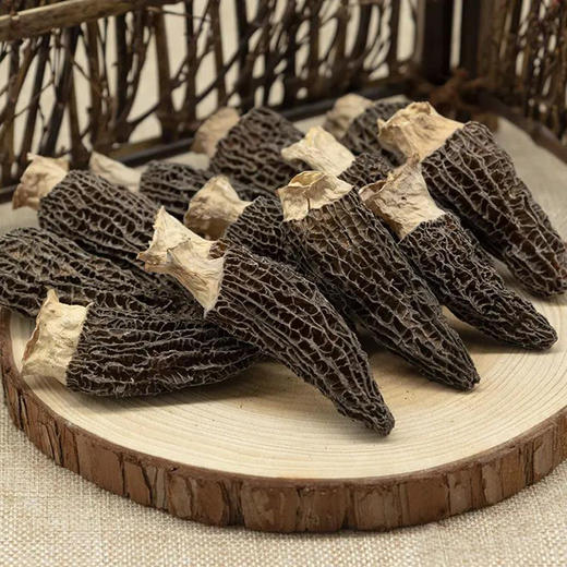 长岭尖精选羊肚菌28g*2袋 商品图1