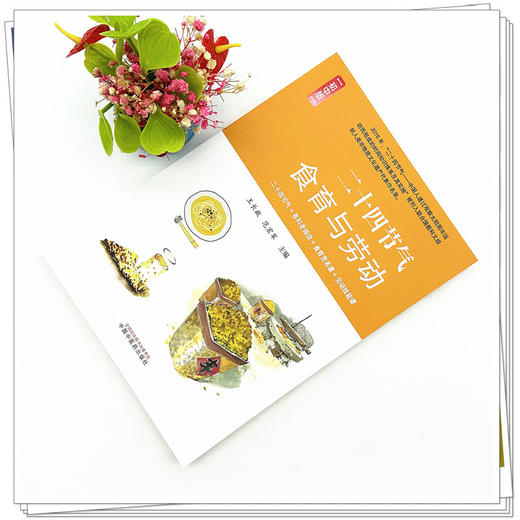 二十四节气食育与劳动：初中版 王长啟 范宏军 主编 中国中医药出版社 商品图1