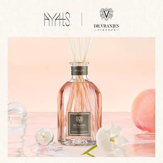 意大利DrVranjes香薰 Bellini贝利尼 无火藤条香薰 商品图0