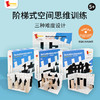 儿童玩具德国Dusyma 空间思维训练礼盒全阶 初中高阶 商品缩略图0