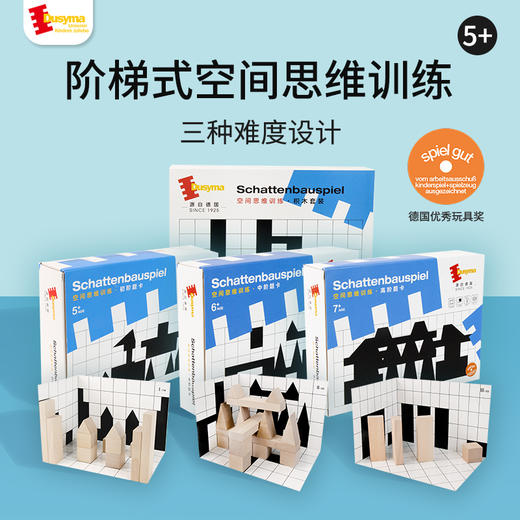 儿童玩具德国Dusyma 空间思维训练礼盒全阶 初中高阶 商品图0