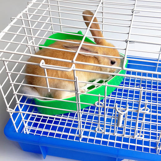 三角小宠物厕所幼兔侏儒兔豚鼠 可固定防漏尿 小宠物用品 商品图1