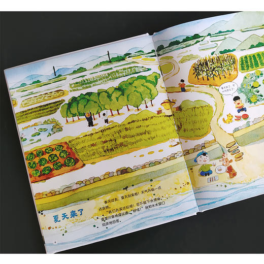时节里的中国 全4册 二十四节气儿童绘本百科全书科普类书籍 商品图7