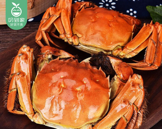 【预售-12月19日配送】江苏大闸蟹礼盒（公母各4只）/1箱（共8只，公蟹单只190g-205g，母蟹单只140g-160g） 商品图1