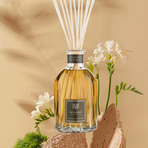 意大利DrVranjes香薰 Giardini di Boboli波波里花园 无火藤条香薰 商品图1