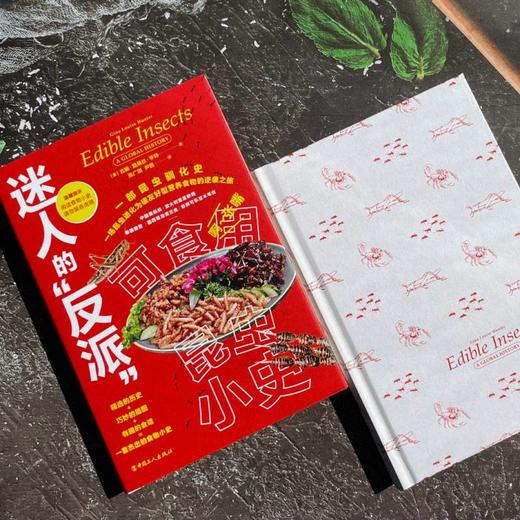 迷人的“反派”：可食用昆虫小史 商品图2
