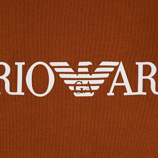 EMPORIO ARMANI 阿玛尼 男士字母徽标印花长袖卫衣 橘色 8N1MR6 1JRIZ 0257 商品图2