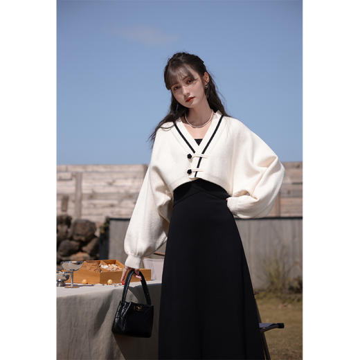 【65折秒杀】鹿向南原创《茶歇法式》吊带连衣裙秋冬LXN28038LYQ 商品图2