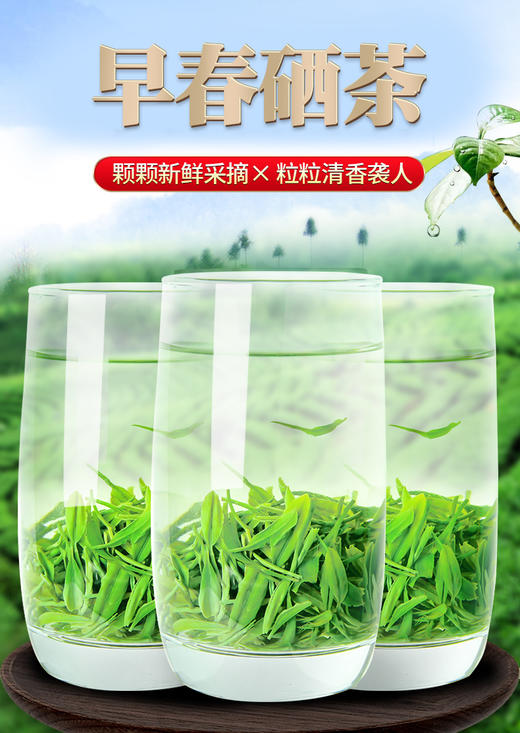 明旭恩施硒茶250g 商品图3