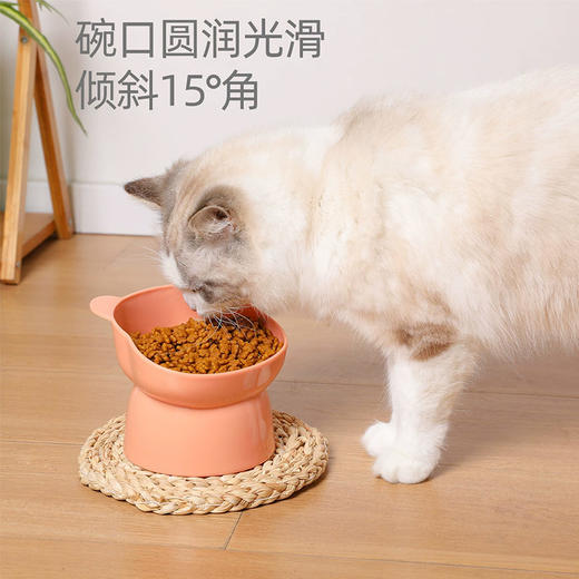 熊头高脚猫碗宠物食具 斜口护颈 PP材质 高性价比 裸装 商品图4