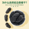 【桑椹干】干吃泡水干净无沙清甜可口浓香桑椹干 商品缩略图4