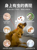 小宠虱敌滴剂1.34ml*1管【中型犬】 体外驱虫 商品缩略图4