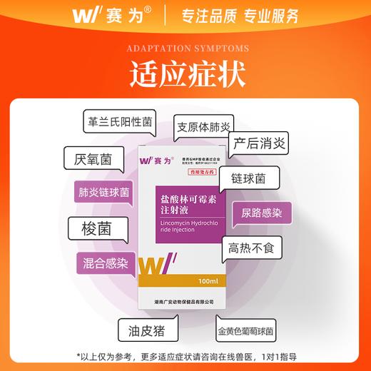 赛为30%盐酸林可霉素注射液剂兽用猪牛羊高热混感产后消炎症咳喘 商品图1